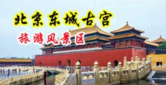 欧美性爱女人的大阴道中国北京-东城古宫旅游风景区